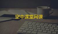空中课堂网课