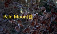 Pale Moon(苍月浏览器) 28.9.3 官方正式版